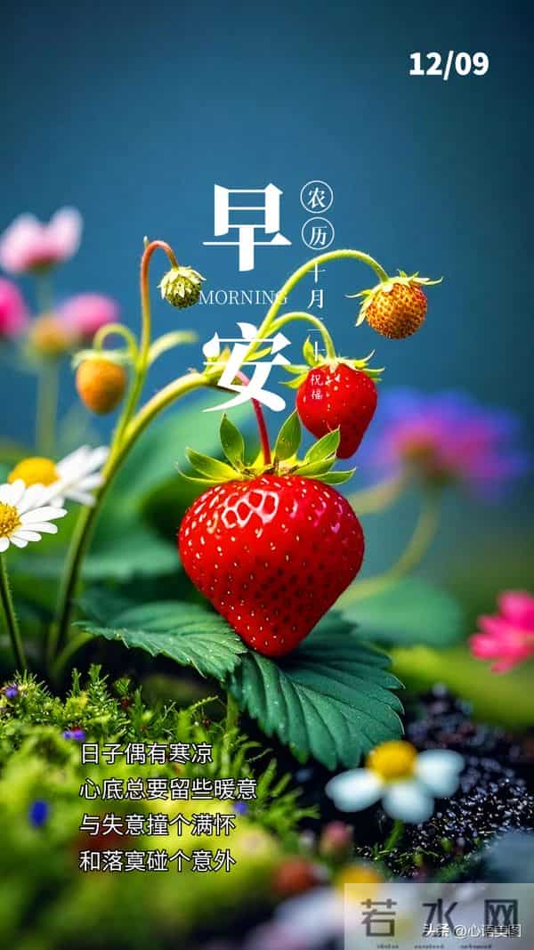 早安正能量图片文案:去爱,去拼,去活出热辣滚烫的生命!