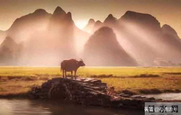 活了大半辈子才懂:人啊,一切都是命