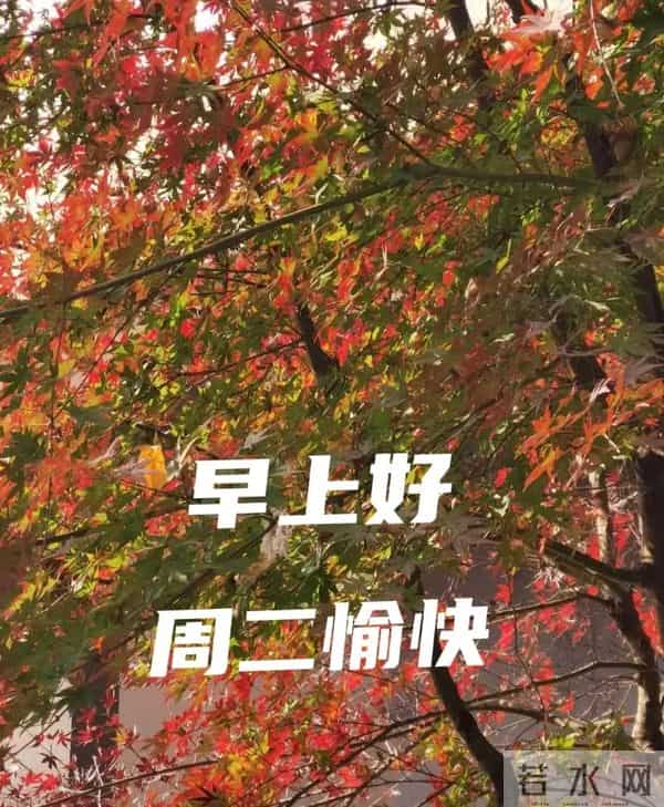 2025年12月9日早上好 早上好温馨问候祝福语 早安精美图片 周二愉快