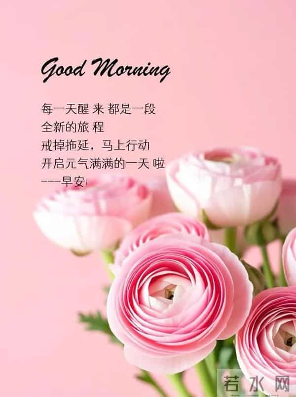 12月10日早上好 早上好温馨问候图片 早安图片最新今天 周三快乐