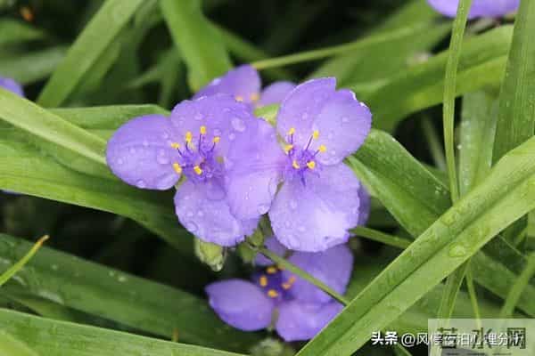 两个有家庭的人，相互暧昧已经不妥！这几件事就别做了