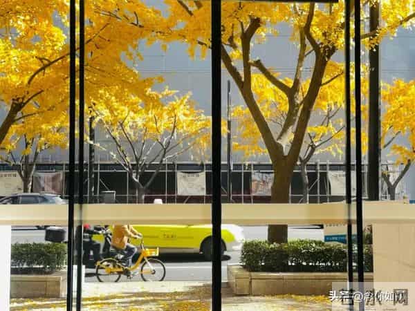 情绪管理超重要的,你怎么做到的?分享一下呗!