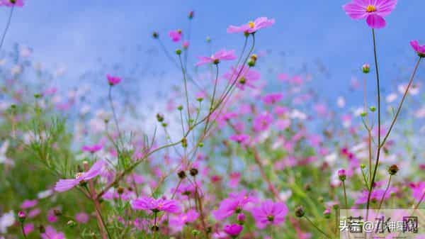 12月10日，金牛座，，未来9日，会有事即将发生！