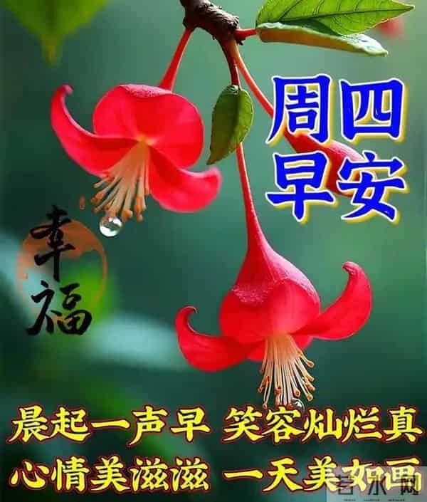 2025年12月11日周四早安 早上好图片最新今天 温馨淡雅的早安图片