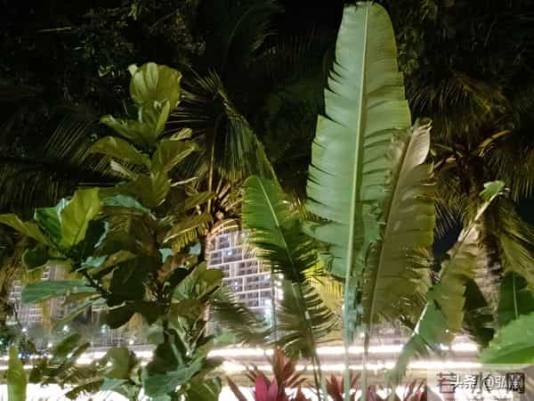 《灵魂的单程票,尊重生命!》