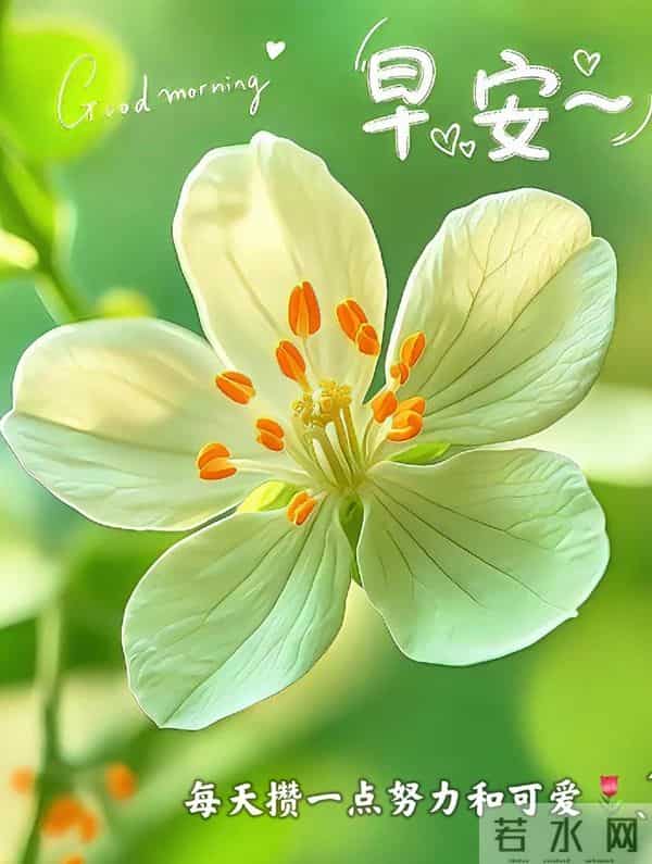 2025.12.09 冬天周二早安愉快!最新精美周二早上好温馨祝福语图片