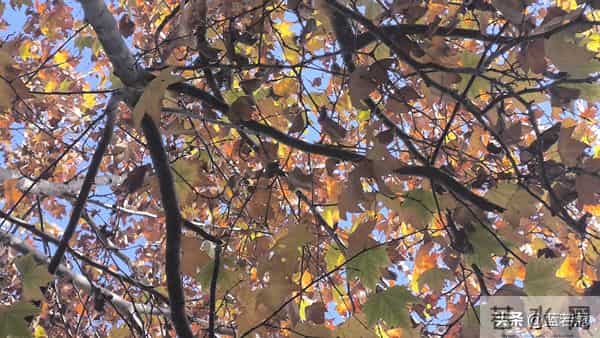 一旦你接纳了自己,世界便再无法伤害你