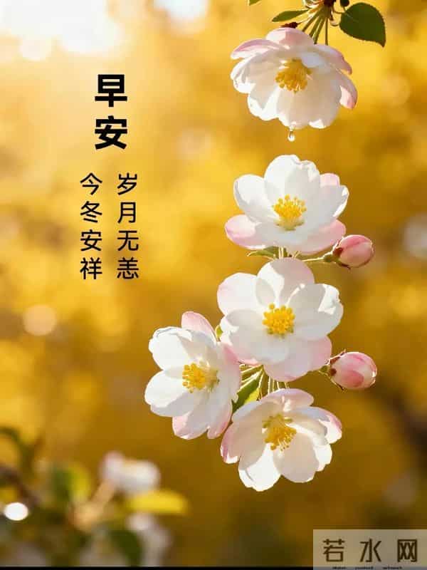 12月10日早安祝福图片。美好的清晨祝愿大家幸福快乐每天好心情