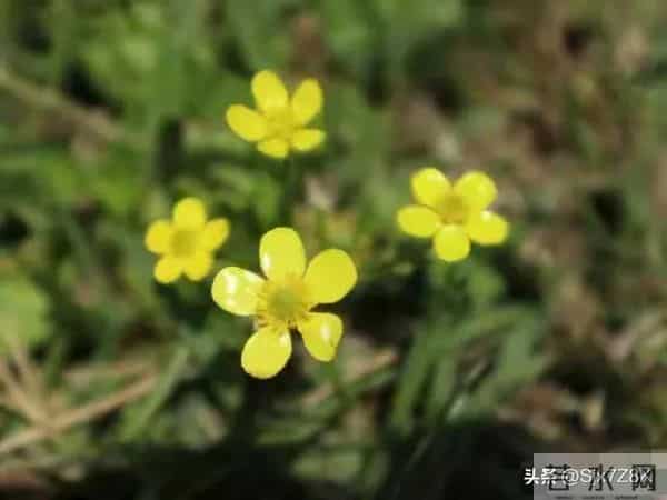 忠告子女:再孝顺,也不要为年过70的老父老母,做这4件事