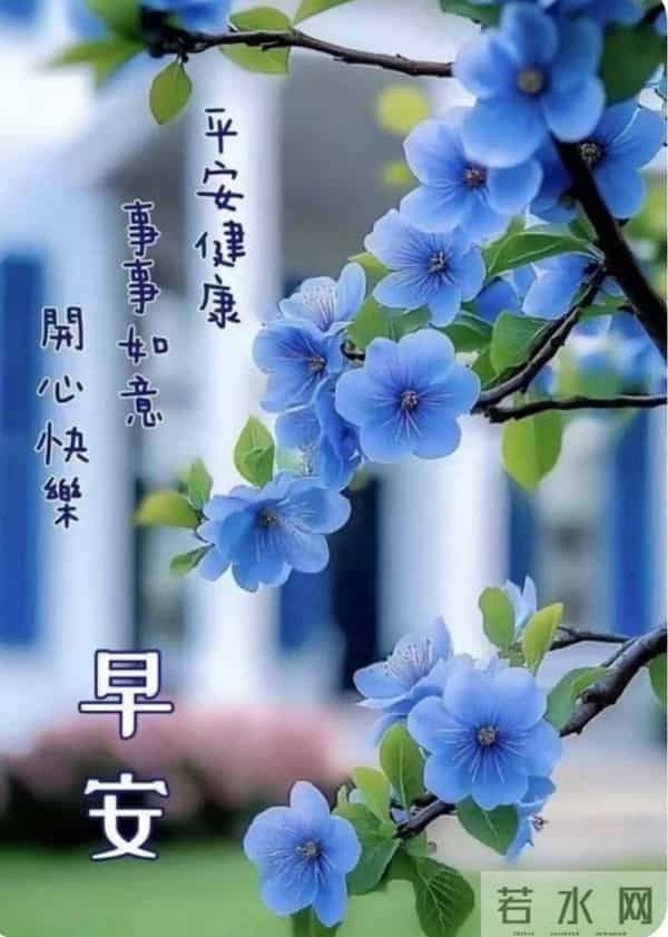 早安,予你一日好光景