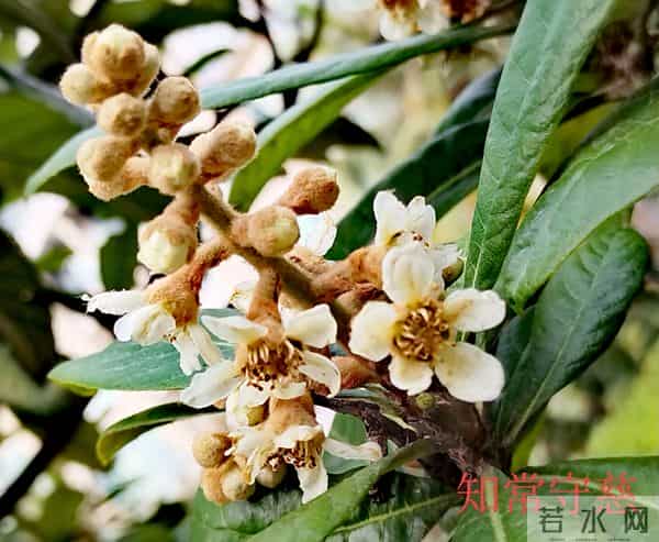 哥俩的命运(1)丈夫深夜被媳妇赶出了家门