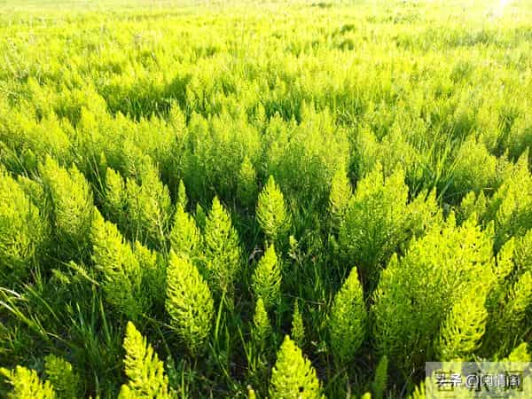 异性接近,女人跟本不是怕你动手脚,而是怕这三个无解的问题!