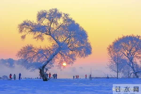 男人在这4个时刻抱住女人，女人基本不会拒绝