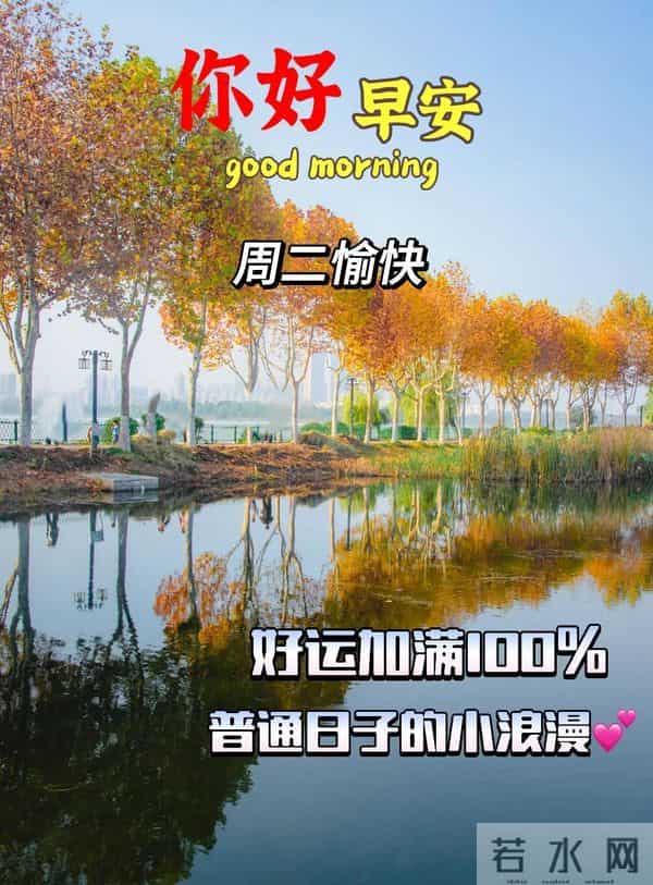 11月9日早上好 早上好温馨问候图片 早安图片最新今天 周二愉快