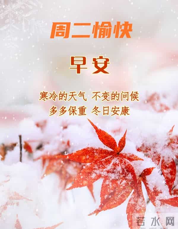 早上好温馨问候祝福语 最新早安精美图片 周二愉快的温馨图片 早上好