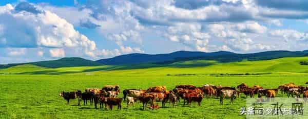 这样的异性知己,温柔陪伴却无名分,一生难遇,遇见请好好珍惜