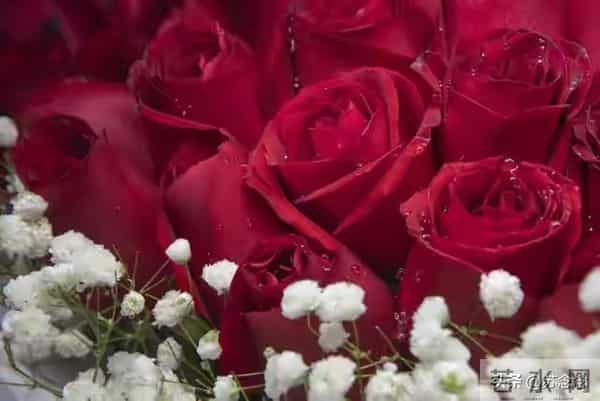 两性关系：真正聪明的女人，一辈子有4不管，越不管越好命！