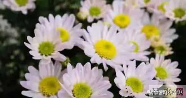 忠告子女:再孝顺,也不要为年过70的老父老母,做这4件事