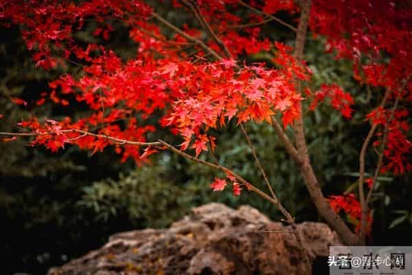 忠告子女：再孝顺，也不要为年过75的老父老母，做这4件事