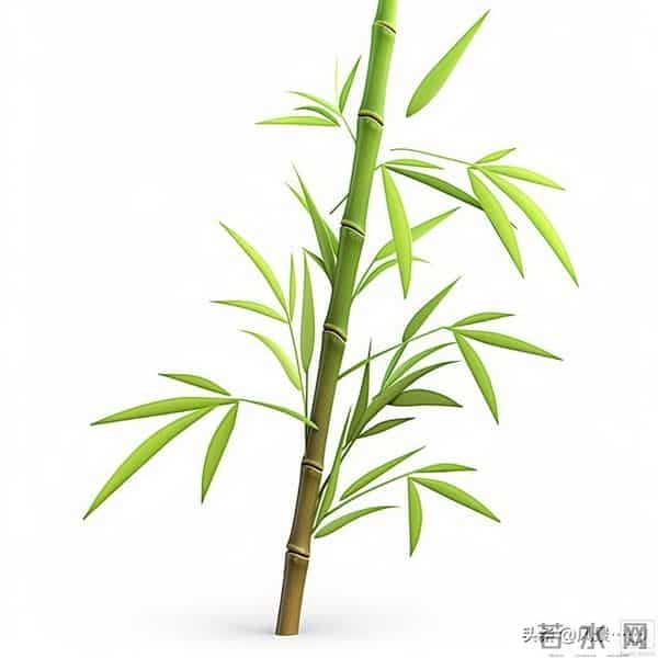 发现了没有,很多丧偶的女人,在外面从来不说!自己是已经丧偶的