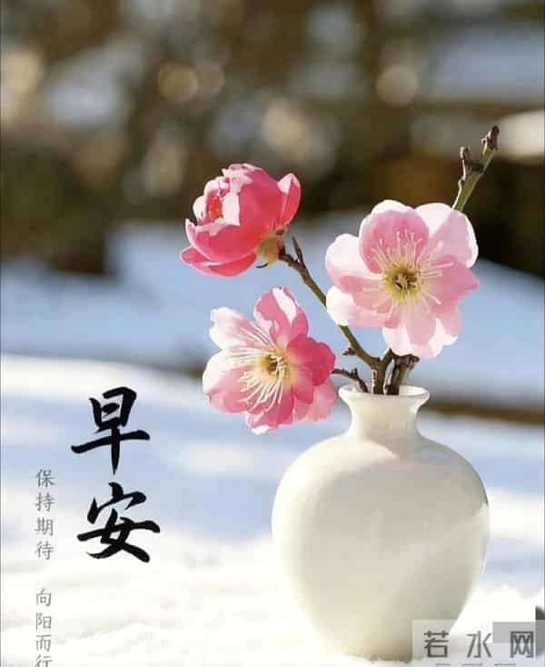 2025.12.10 冬天周三早安愉快！最新精美周三早上好温馨祝福语图片