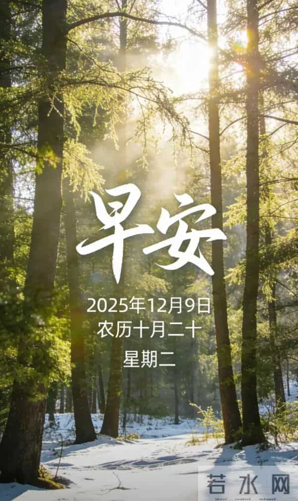 2025.12.9 冬天周二早安愉快！最新精美周二早上好温馨祝福语图片
