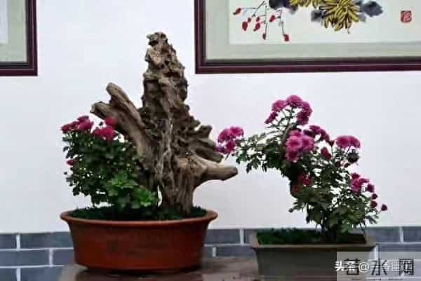 两性关系,68女人大实话,男人过了70岁,只剩下两个用处