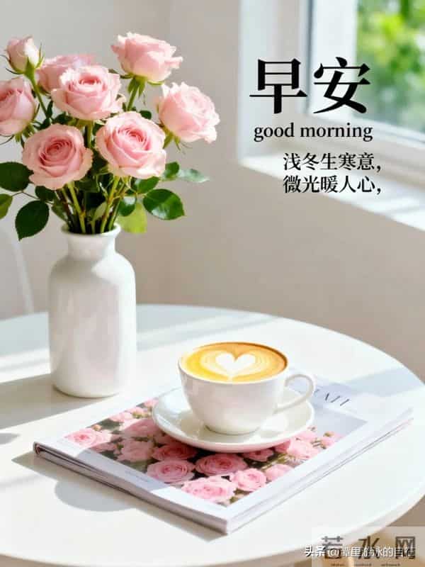 “周二早安:愿你在平凡里邂逅美好,在奔波中积攒力量~”
