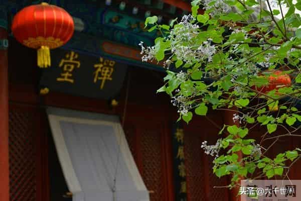 最积阴德的3件事,常做其一,福泽深厚