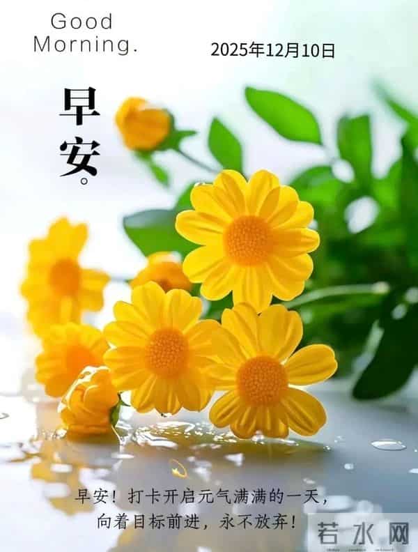 2025年12月10日早上好 早安温馨祝福语 早安周三愉快 早安精美美图
