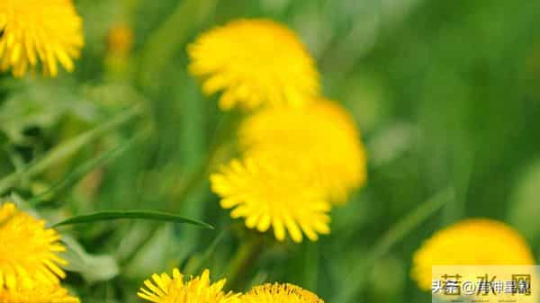 12月10日,天蝎座,未来9日,会有事即将发生!