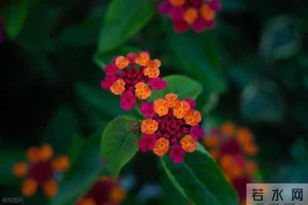 男人对你，经常有这些主动，就是深爱你了