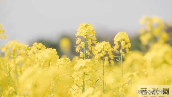 不管你承不承认,女人过了40岁,喜欢一个男人,就会为他做这些事