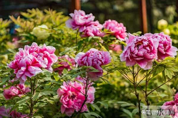 所有不安都是虚惊一场?放宽心,焦虑不过是自寻烦恼!