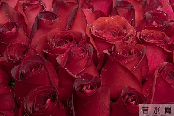 想你,念你,有你真好,你在心中,我的心中才有温暖