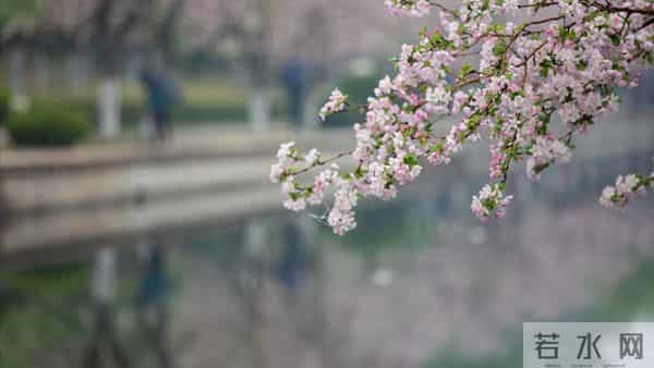 父亲过世老伴出差,公婆姑姐找借口没参加,女人收拾行李回了娘家
