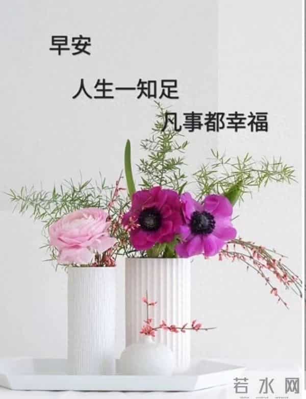 早安,以花寄暖,日常皆安。
