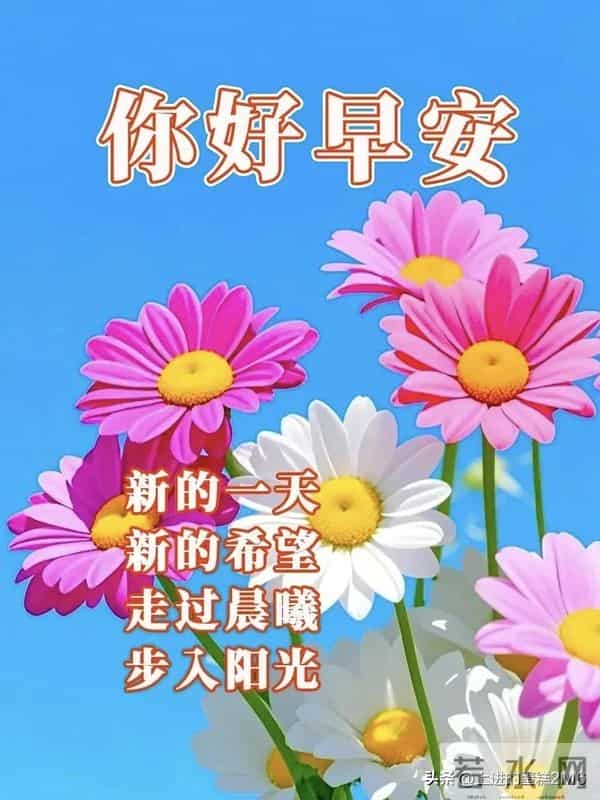 早安!迎着朝阳出发带着收获回家,日子温暖,抬头遇见的皆是美好