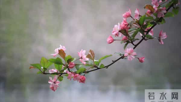 父亲过世老伴出差,公婆姑姐找借口没参加,女人收拾行李回了娘家