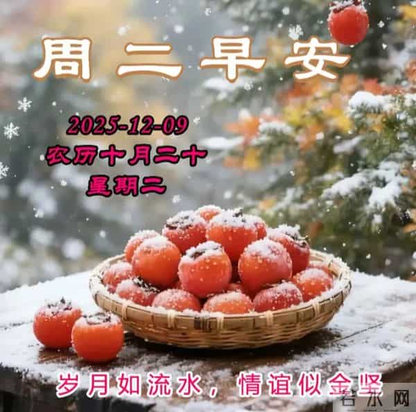 2025.12.09今日十月二十——早上好，周二祝福问候语，早安图片