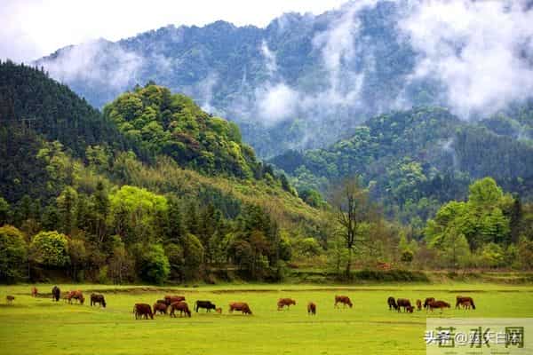 两性关系：60多岁的阿姨们坦言，女人找老伴，最大的需求是这一点