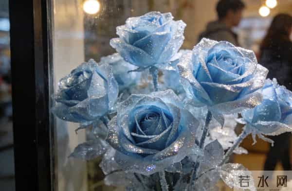 花语说爱3 - 蓝玫瑰：虚幻式爱情，新鲜感终抵不过真心
