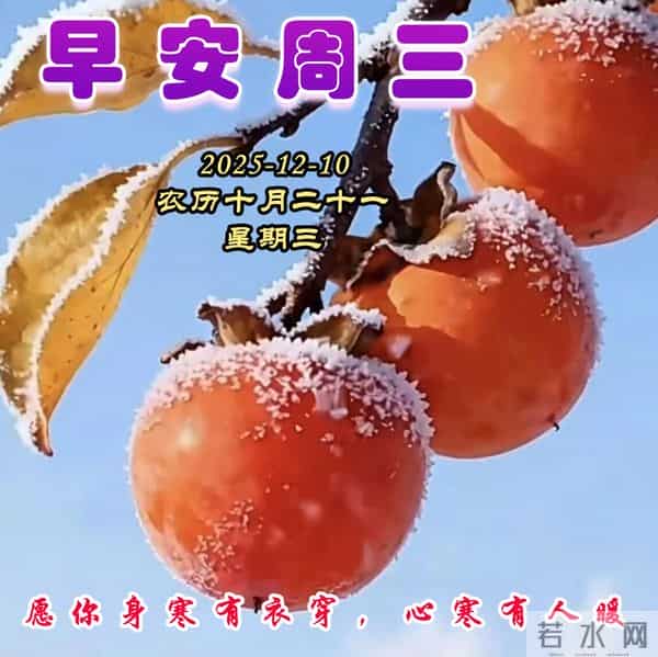 周三早安问候美图-冬意渐浓,时光清浅;心若安然,幸福蔓延