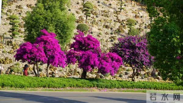 两性关系-男人要明白，女人无论多大年龄，都有一个这样的要求