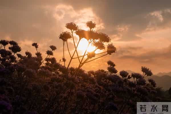 一眼就爱上！20个让你念念不忘的神仙句子，每一句都值得抄下来