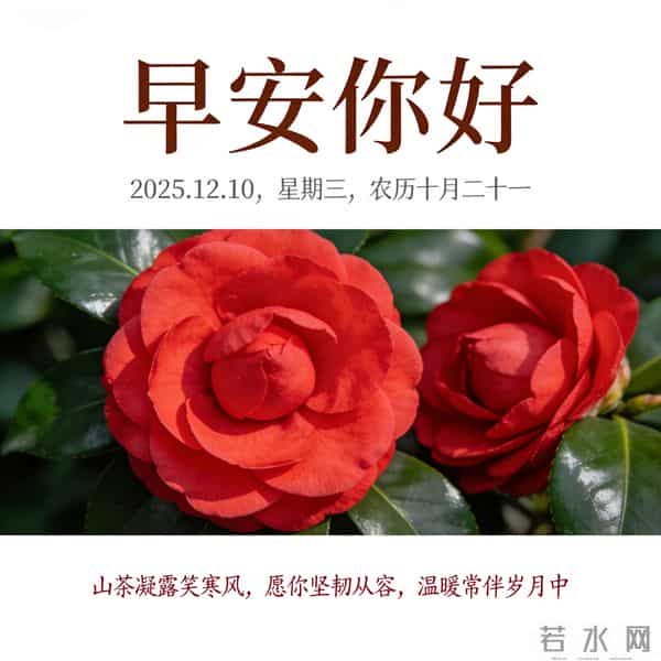 2025.12.10 早安祝福 围巾手套御严寒 亲友叮咛情意暖 早安幸福万年长
