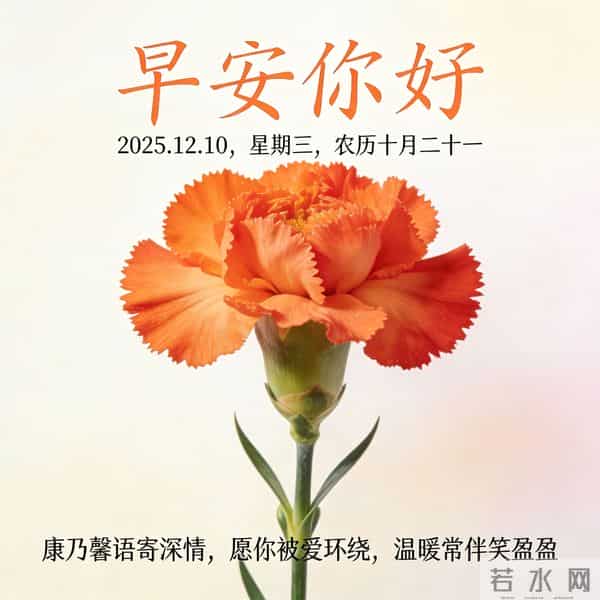 2025.12.10 早安祝福 围巾手套御严寒 亲友叮咛情意暖 早安幸福万年长