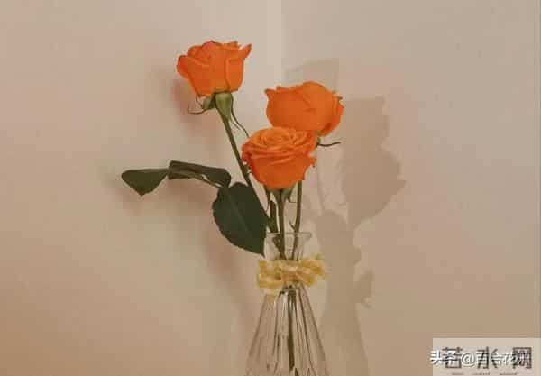 两性关系：女人对男人入了心，才会出现这些本能反应，藏不住的