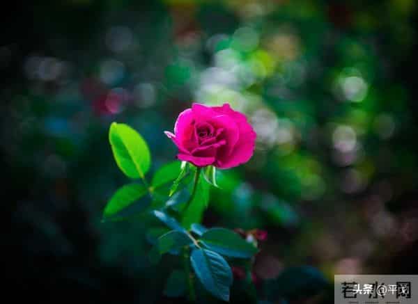 两性关系,女人可以搂着睡,亲她的嘴,但千万别全信她说的话