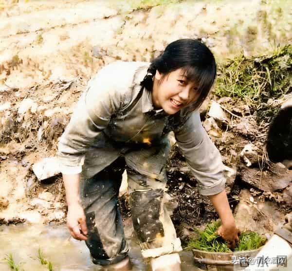 85年,未婚夫提干想退婚,我打算找去部队,爹一番话我改了主意